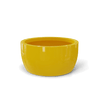 GSF Gloss Saffron