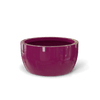 GEG Gloss Eggplant