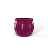 GEG Gloss Eggplant