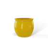 GSF Gloss Saffron