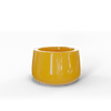 GSF Gloss Saffron