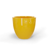 GSF Gloss Saffron