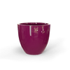 GEG Gloss Eggplant